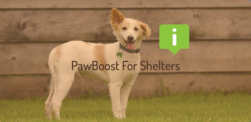 Pawboost website best sale