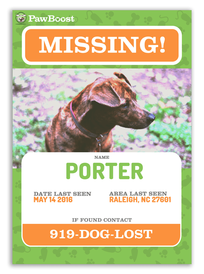 Helping Lost Pets Flyer Create A Lost Or Found Pet Flyer Petfbi