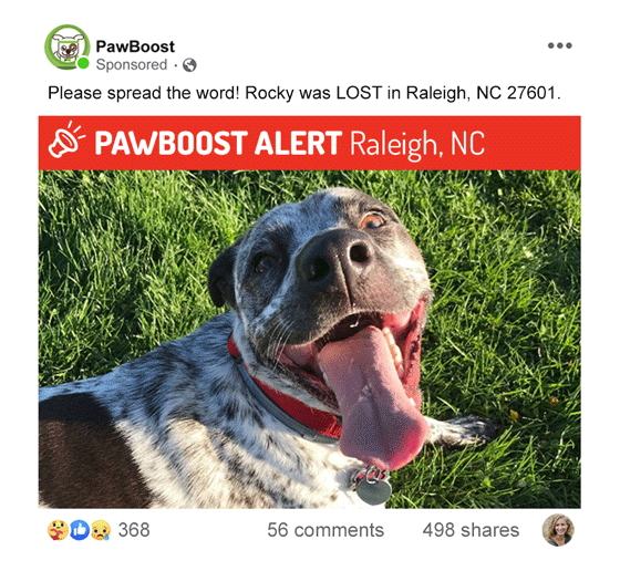 Pawboost Lost And Found Pets Find And Report Lost Pets Nationwide